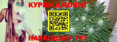 стаф Донской
