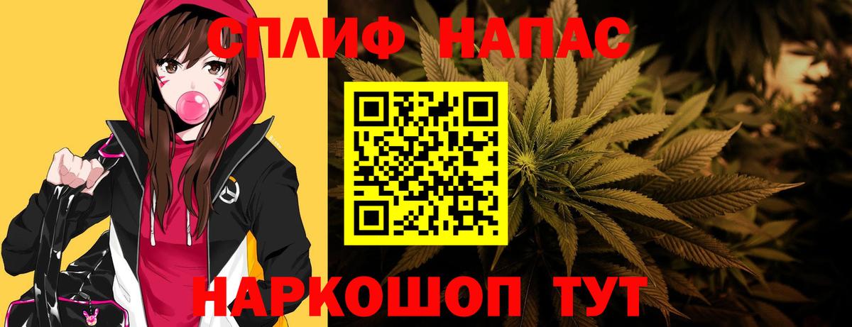 Конопля сатива Кингисепп